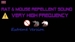 ⚠️Extreme Version 🚫🐀🐁 Rat amp Mouse Repellent Sound Very High Frequency 6 Hour [upl. by Colvin]