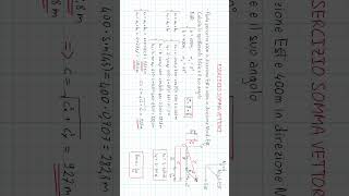 Scomposizione vettori e trigonometria  Parte i fisica matematica ProntoSoccorsoStudenti [upl. by Tlihcox]