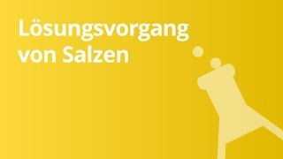 Der Lösungsvorgang von Salzen leicht erklärt  Chemie [upl. by Troth]