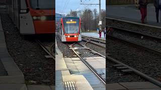 trending bergen visitbergen youtubeshorts norway raindays 🇳🇴 [upl. by Eberhard193]