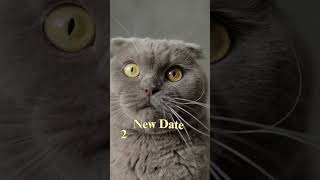 CAT 2024 Registration Date Extended cat catexam catexamination 2024 date [upl. by Bee]