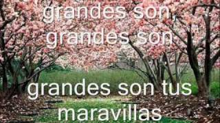 GRANDES SON TUS MARAVILLAS [upl. by Boy762]