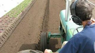 Bed Tilling with a John Deere 2130 [upl. by Rolf]