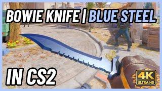 ★ CS2 Bowie Knife Blue Steel  CS2 Knife InGame Showcase 4K [upl. by Brandtr]