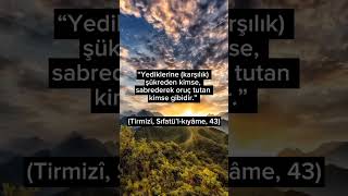 Günün Hadisi shortvideo shorts ilim iman islam islamicvideo [upl. by Sidnak]