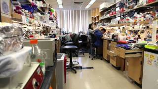 Daley Lab Overview [upl. by Adolphe71]