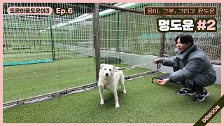 Helping DOWOON3 Ep6 DoggyDOWOON 2 [upl. by Isolda]