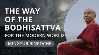 The Way of the Bodhisattva with Yongey Mingyur Rinpoche [upl. by Anasiul933]