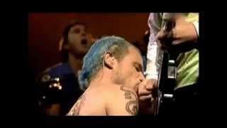 red hot chili peppers cabron sep 29 2002 mexico rare [upl. by Yerocal]