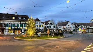 Biking from Schönenbuch to Allschwil  Switzerland Winter 4K  20240101 [upl. by Vittoria697]