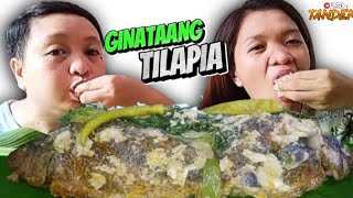 GINATAANG TILAPIA MUKBANG  PINOY FOOD MUKBANG AJACK IN TANDEM asmrmukbang ginataangtilapia viral [upl. by Calabresi438]