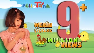 وەرین چیچەلۆک  WERÎN ÇîÇELOK  PELÍSTANK TV [upl. by Dremann]