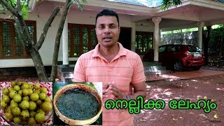 നെല്ലിക്ക ലേഹ്യം  NELLIKKA LEHYAM  HOW TO MAKE NELLIKKA LEHYAM AT HOME [upl. by Ettenuj]