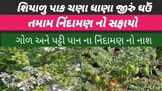 શિયાળુ પાક  ધાણા જીરું ચણા ઘઉં  નિંદામણ ની સચોટ માહિતી [upl. by Gobert]