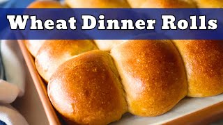 Wheat Dinner Rolls NO EGG So Soft and Tender [upl. by Nnaid]