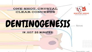 Dentinogenesis ONE SHOT [upl. by Kcirdef]