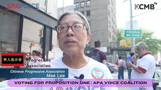 Mae Lee from Chinese Progressive Association on Voting YES for Proposition One  APA VOICE Coalition [upl. by Ueihtam]