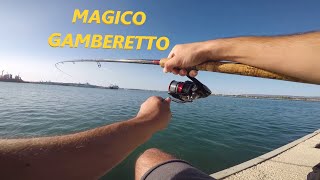 Pesca allInglese con il Gamberetto Vivo  Pieghe e Sfrizionate da Paura [upl. by Nyladnarb522]