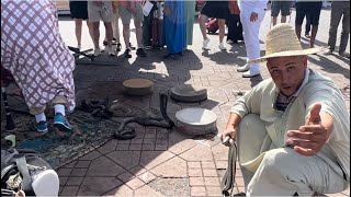 SHOCKING VIEWS IN MARRAKECH MARKET MOROCCO 🇲🇦 [upl. by Amoihc515]