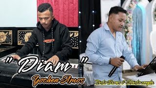 DIAM  YOCHEN AMOS  COVER ARISTO CENGKA [upl. by Shulins576]