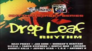 Intrumental Drop Leaf Riddim [upl. by Rhtaeh]