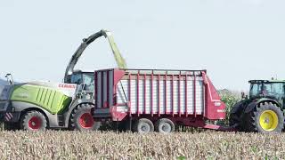 We use Countryside Custom harvesting for chopping silage and combining corn on our family farm [upl. by Ynned215]