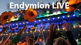 Live Krewe of Endymion [upl. by Leigha]