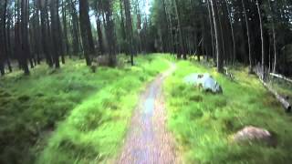 Laggan Wolftrax Downhill Mountain Biking the Green Route [upl. by Navlys]