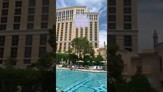 Bellagio pool Las Vegas lasvegas bellagio [upl. by Adnolor]