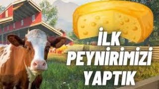 İNEKLERİMİZİ ALDIK PEYNİRLER ZENGİN ETTİ RANCH SİMULATOR4 [upl. by Anekam]