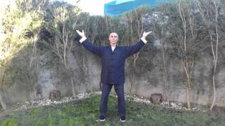 TaiQiGong 8 Cycle training [upl. by Lleda]