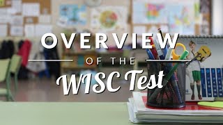 WISC Test Overview  TestingMomcom [upl. by Neemsay]