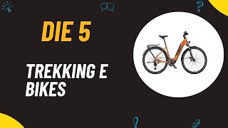 Die 5 Besten Trekking E Bikes Test 2024  Top 5 Trekking E Bikes Vergleich [upl. by Reltuc]