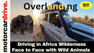 EP 7  India Overlanding Africa Jungles  Nxai Pan National Park  SelfDrive Safari  Wild Botswana [upl. by Merrel]