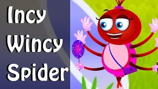 Incy Wincy Spider Itsy Bitsy SpiderNursery Rhyme [upl. by Diley]