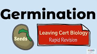 Germination Biology Bugbears Rapid RevisionLeaving Cert Biology 2025 Plant Reproduction [upl. by Ithnan]