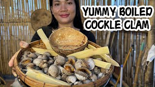 Boiled Cockle Clam with coconut and Sugar Can  Fresh Chef [upl. by Ravel]