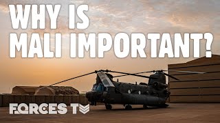 Mali What Next For British Military Deployments In The African Country  Forces TV [upl. by Aciret26]