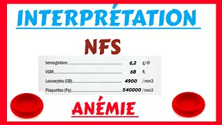 Numération formule sanguine  ANÉMIE  Interprétation [upl. by Ellehsem]