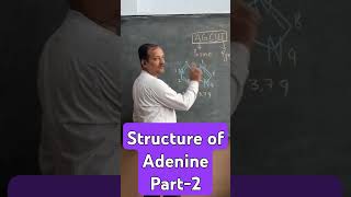 What is Adenine Structure of Adenine Structure of DNA [upl. by Morgana]