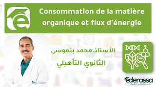 Introduction à létude de la consommation de la matière organique et flux dénergie [upl. by Marla339]