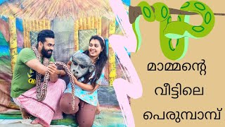 കുഞ്ഞൂട്ടാ ഓടിക്കോ ഒരു കാട് ഇളകി വരണുണ്ടെ  MRIDVA  MRIDHULAVIJAI  YUVAKRISHNA [upl. by Gretchen]