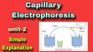 Capillary electrophoresis ll part2 ll in hindi [upl. by Aremihc]