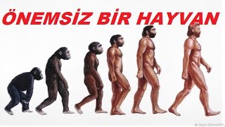 ÖNEMSİZ BİR HAYVAN SESLİ KİTAP [upl. by Nnaeilsel]