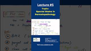 New lecture out Topic Special stains in Dermatopathology edudermabydranmol dermatopathology [upl. by Grochow]