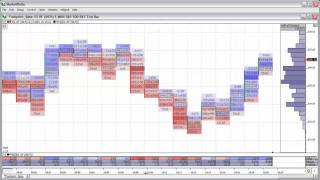 Footprint Chart Overview [upl. by Wyne]