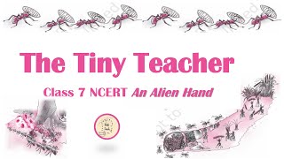 The Tiny Teacher  Class 7  An Alien Hand  NCERT  CBSE  in TAMIL [upl. by Temple]