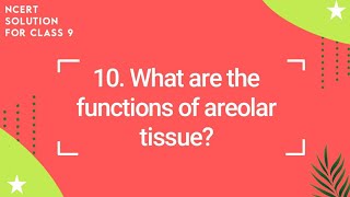 NCERT Class 9 Science Chapter 6  What are the functions of areolar tissue [upl. by Ajnos]