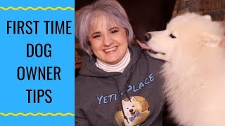 Tips For First Time Samoyed Owners [upl. by Lisab]