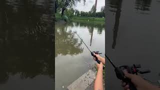 Affordable price fishing rod youtubeshorts viralvideo shorts [upl. by Ainwat]